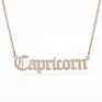 Zodiac Croc Charm Gold Necklace Choker Zodiac Jewelry Collares De Acero Inoxidables Jewelry for Womans Indians