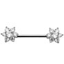 10Pairs/Set Stainless Steel Nipple Rings Tongue Ring Piercing Body Jewelry Barbell Cz Heart Shape Rings for Women Girls