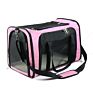 Pet carrier