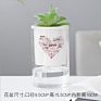 Arrivals Self Watering Pot Planter Pot Self Watering Plant Pots For