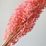 Artificial Green Ruscus Dried Flower Italian Ruscus Greenery Garland Ruscus Leaves for Decor