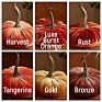Artificial Pumpkin Fall Harvest Lifelike Pumpkins for Halloween Pumpkin Decoration