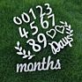 Baby Milestone Cards Numbers Wooden Blocks Baby Monthly Milestone Card Sign Baby Photo Prop Discs