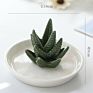 Ceramic Cactus Ring Holder Decorative Green Cactus Jewelry Holder Jewelri Display Tray