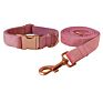 Classic Velvet Dog Bow Tie Collar and Leash Set Pet Gift with Bow