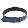 Competitive Price Training Nylon Leash Small and Large Dog Collar