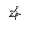 Chic CZ Micro pave Star Charm Pendants