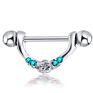 Different Styles Nipple Rings Stainless Steel Body Jewelry Ear Bar Barbell Piercings Earrings Nipple Shield Barbell