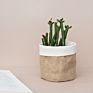 Eco-Friendly Krft Paper Washable Nordic round Flower Pot Holder