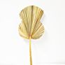 Flora Sell Dried Flower Dried Palm Leaves for Wedding Decoration
