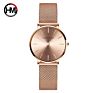 Hannah Martin Cc36 Ladies Quartz Wrist Watches Simple Drop Shipping Design Waterproof Fancy Ladies Watches