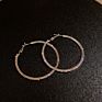 Jewelry 925 Silver Needle Exaggerated Inlaid Diamond Large Ring Earrings Temperament Show Face Thin Personality