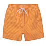 Mens Vertical Stripe Board Shorts