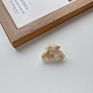 Package Plastic Shell Curved Leopard Small Hair Clamp Clips Hairclips Cellulose Acetate Kids Mini Hair Claws for Babies