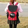 Pet Carrier Cat Dog Bubble Capsule Backpack Cat Backpack