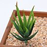 Price the Newest Artificial Succulent Plants Arrangement Faux Mini Cactus Succulents