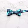 Professional Mens Suit Shirt Bowties Stylish Business Bow Ties For