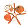 Starfish Brooch Pins Jewelry Rhinestone Pearl Broche Elegant Natural Shell Brooches Lady Brooch Pins