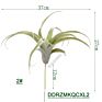 Style Faux Flower Fake Grass Artificial Plant Air Plant for Home Decoration