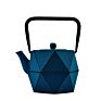 Theiere Fonte Cast Iron Teapot with Stainless Steel Filter 0.8L Tea Pot Kettle