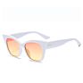 Women Clear Sun Glasses Cateye Shades Eyewear White Cat Eye Sunglasses