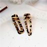 Acrylic Leopard-Print/Zebra-Print Hair Clips Set Simple Geometric Duck Bill Hairpins Hair Accessory for Women Girls Accessories