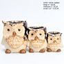 Arrivals Home Decoration Hedgehog Shape Small Animal Succulent Flowerpot