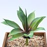 Artificial Mini Succulent and Cactus Succulent Pots Plant for Home Decoration