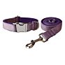 Classic Velvet Dog Bow Tie Collar and Leash Set Pet Gift with Bow