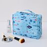 Colorful Pattern Light Daily Storage Oxford Cloth Travel Bag Cosmetic Bag