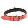 Competitive Price Training Nylon Leash Small and Large Dog Collar