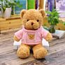 Cute Teddy Bear with Sweater Beautiful Teddy Bear