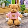 Cute Teddy Bear with Sweater Beautiful Teddy Bear