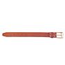 dog neck belt collar