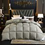 Fast Delivery in Stock Hypoallergenic Quilted Warm down Alternative Comforter