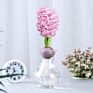 Flower Bulbs Nature Plant Hyacinth Flowers Seed Planting for Selling&Decoration
