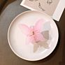 Frosted Jelly Korean Butterfly Shaped Temperament Catch Clip Headdress Hair Clip Shark Clip Hair Accessories