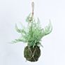 Green Artificial Plastic Fern Leaves Artificial Hanging Plant