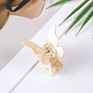 Hairpin Cellulose Acetate Hairpin Butterfly Hair Claw anti Skid Hair Accessories