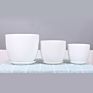 Ins Matte Glazed Ceramic Planter Pot with Saucer Modern round Decor Indoor Planter with Drainage Hole for Plants