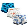 Oxgift Underwear for Children Cute Baby Kids Underwear