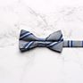 Professional Mens Suit Shirt Bowties Stylish Business Bow Ties For