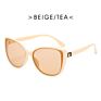 Retro Big Frame Cat Eye Sunglasses with Metal Hinges European and American Trend Sunglasses Women