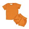 Ribbed Cotton Short Sleeve Solid Color Toddler Kid Baby Girl 2 Piece Outfits Clothing Shorts Sets