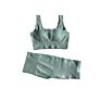 Ribbed Seamless Yoga Set Fitness Women Biker Shorts Bra Sets with Logo