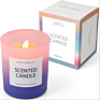 Scented Candles Frosted the Candle Jar in Private Label Scented Soy Wax Candles