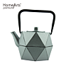 Theiere Fonte Cast Iron Teapot with Stainless Steel Filter 0.8L Tea Pot Kettle