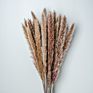 Top Sellers Decorative Indoor Grass Dried Flower Natural Color Pampas Grass for Home Decoration