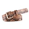 Women Snakeskin Leopard Print Pu Leather Dress Jeans Waist Belt for Girls and Ladies Gold Color Pin Buckle