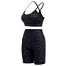 Yoga Wear Sport Set for Women 2 Piece Workout Suit Sport Bra and Shorts Yoga Set